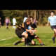 image 37 of 65